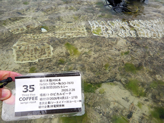 2025.9 - 2026.2(2026.4月海中移植)の公式記事に掲載された写真